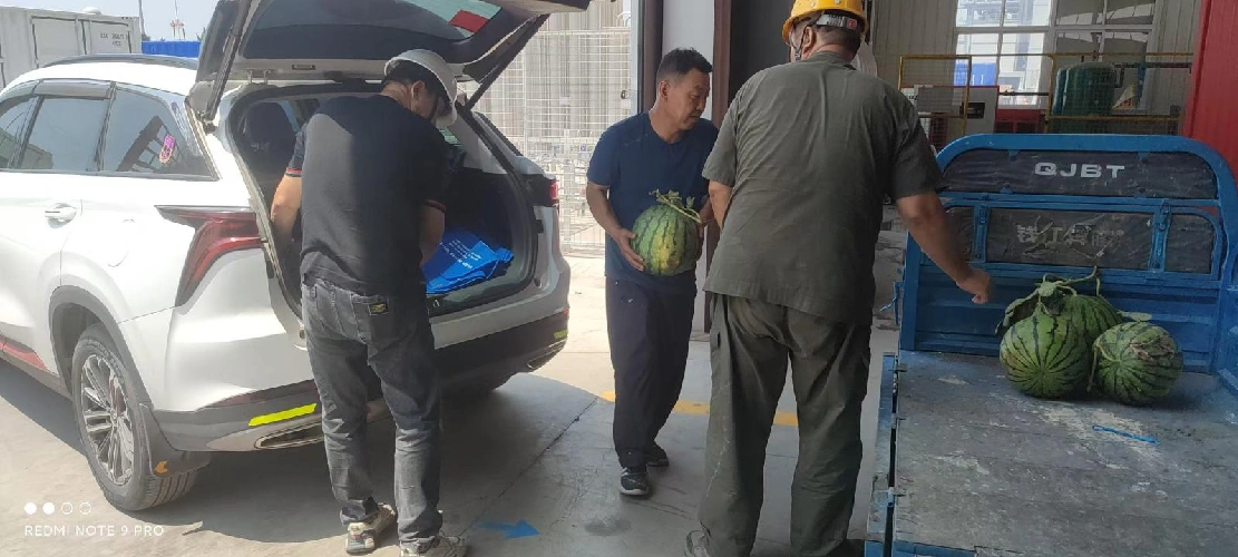 Coolness bidaltzen uda zurrunean, muturreko beroari aurre egiteko ahaleginak batzea